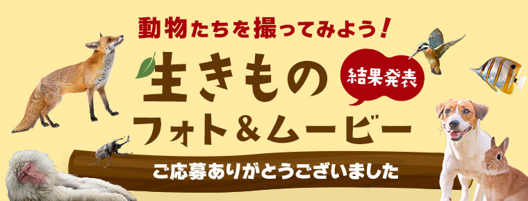動物たちを撮ってみよう！生きものフォト＆ムービー