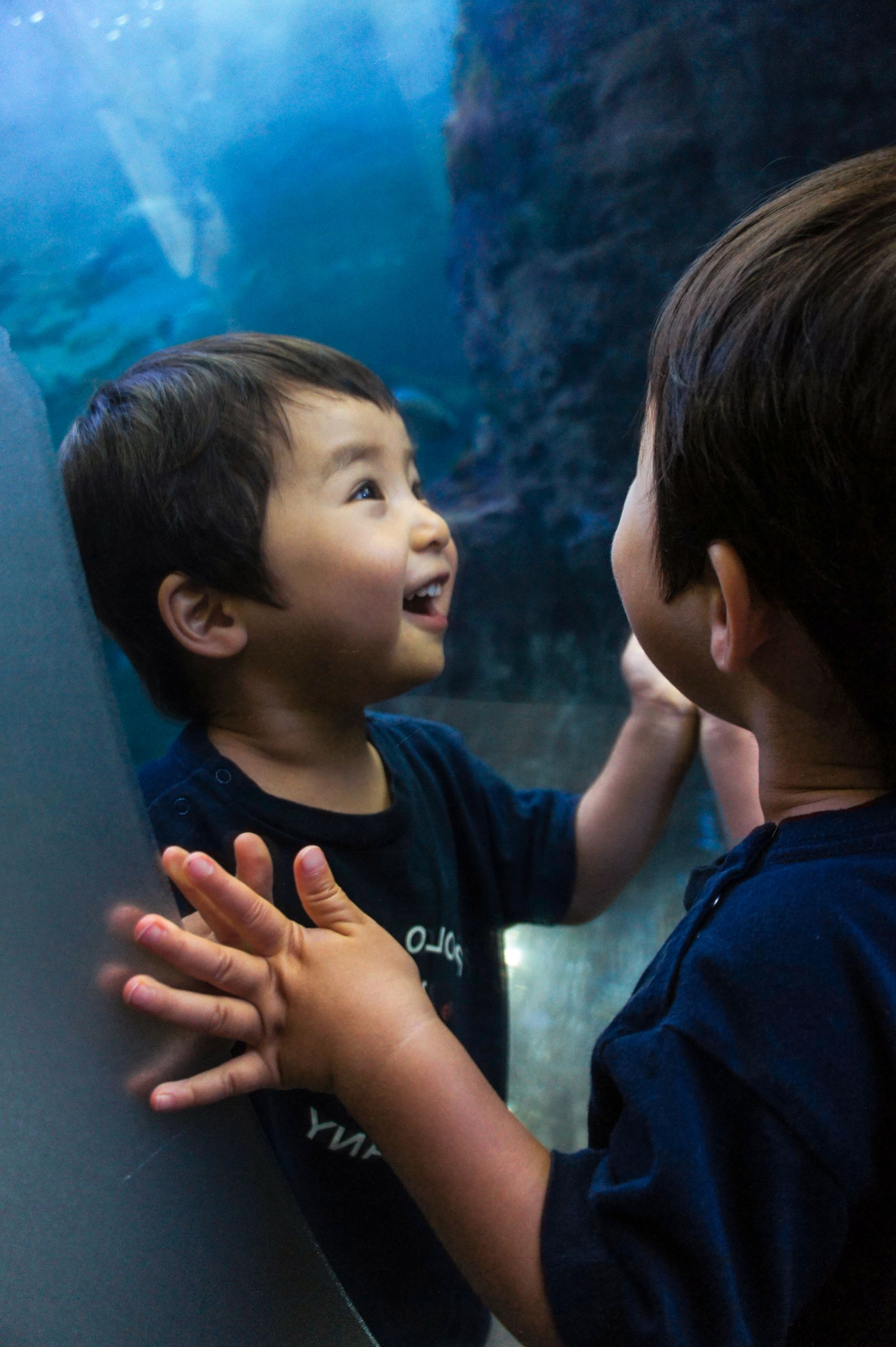 「はじめての水族館」ののさん